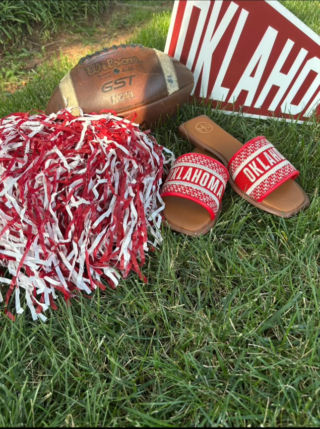 University of Oklahoma Slides